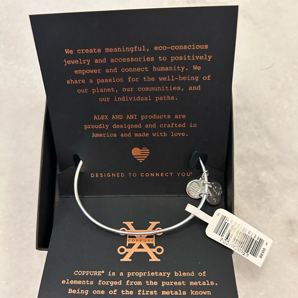 NWT Alex and Ani Bracelet with skull charm